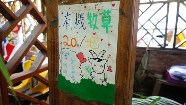 【桃園景點】羊世界牧場-有如一座小型動物園，還可以餵羊的好玩親子景點