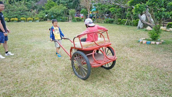 【桃園景點】羊世界牧場-有如一座小型動物園，還可以餵羊的好玩親子景點