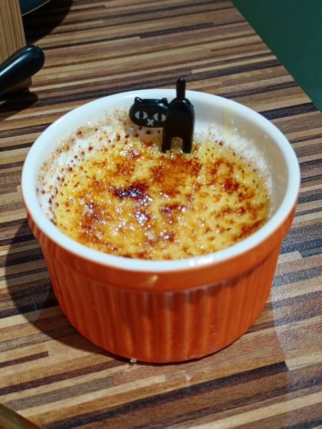 【新北.新店】貓谷餐廳。50隻貓咪坐鎮享受滿山滿谷的貓咪包圍美好感受。需提早一個月預約付訂金