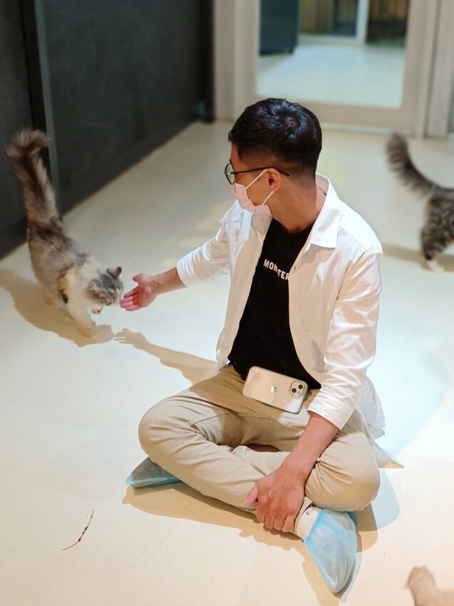 【新北.新店】貓谷餐廳。50隻貓咪坐鎮享受滿山滿谷的貓咪包圍美好感受。需提早一個月預約付訂金