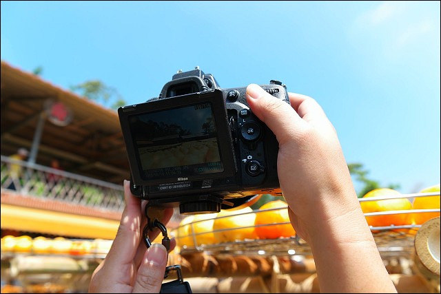 12015525_10207251463342088_1047526512_o