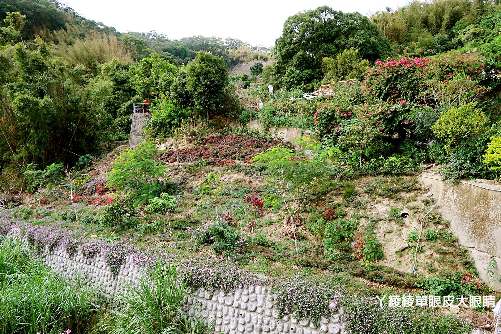 客庄在地餐桌輕旅行 搶鮮體驗！《客庄慢活慢食漫遊趣》創意客家料理｜社區私房景點｜手作DIY體驗
