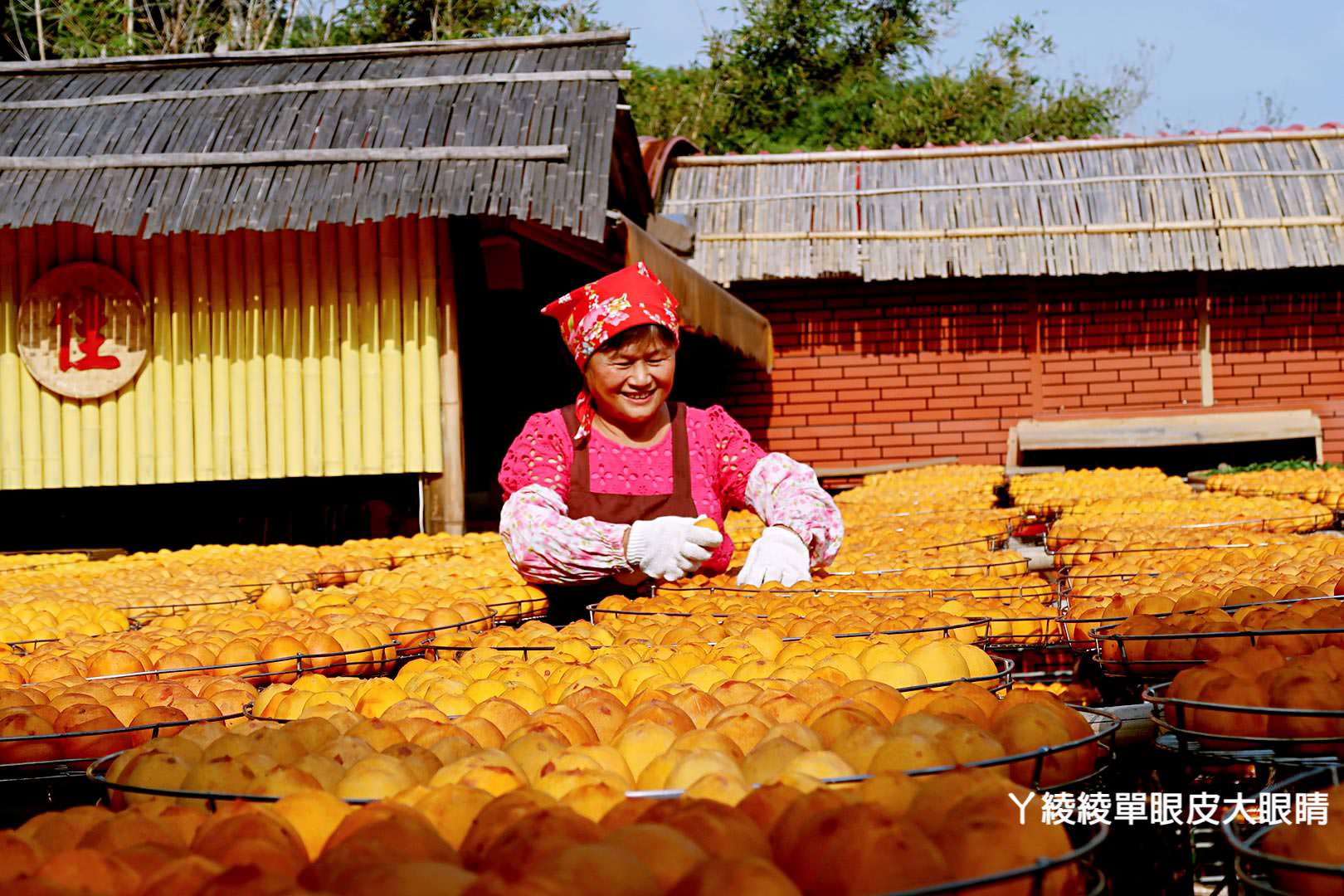 客庄在地餐桌輕旅行 搶鮮體驗！《客庄慢活慢食漫遊趣》創意客家料理｜社區私房景點｜手作DIY體驗