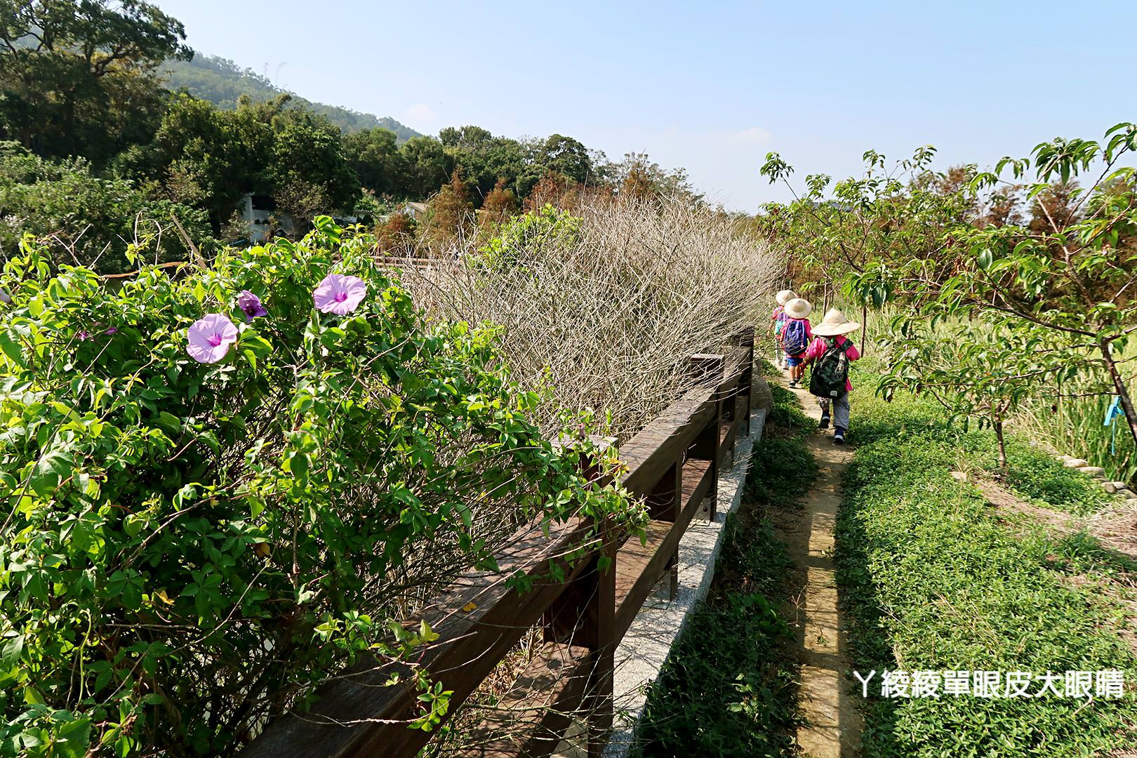 客庄在地餐桌輕旅行 搶鮮體驗！《客庄慢活慢食漫遊趣》創意客家料理｜社區私房景點｜手作DIY體驗