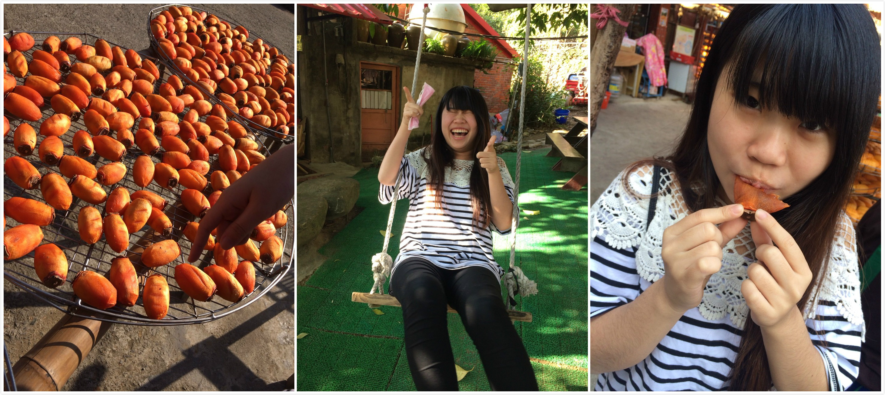 【新竹】味衛佳柿餅 新竹不是只有城隍廟 還有柿餅!!!