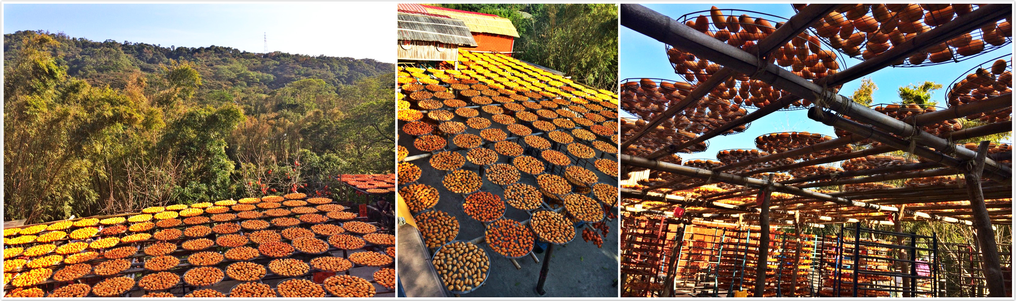 【新竹】味衛佳柿餅 新竹不是只有城隍廟 還有柿餅!!!