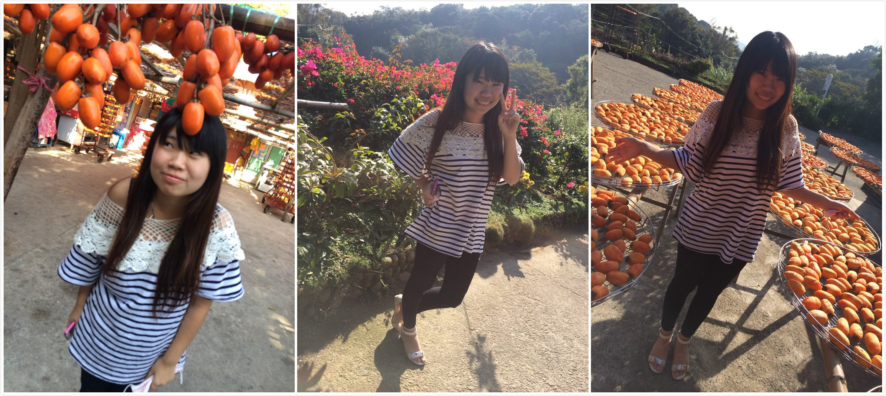 【新竹】味衛佳柿餅 新竹不是只有城隍廟 還有柿餅!!!