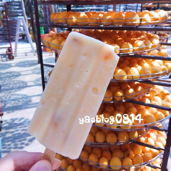 味衛佳_柿餅冰棒.jpg