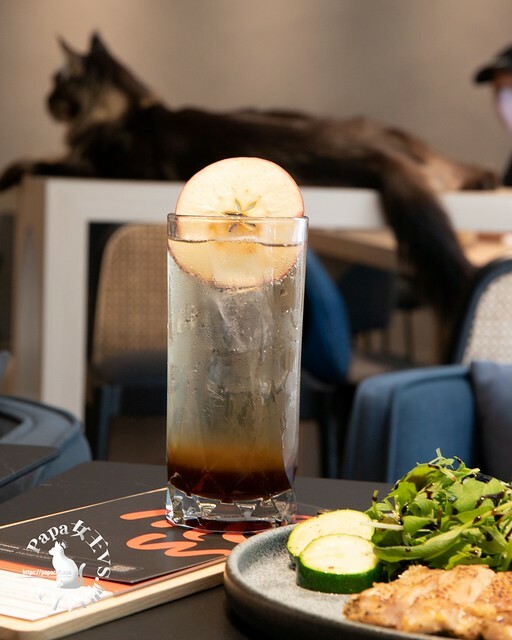 台中西屯｜咖啡  MEOW CAFE 喵屋專業咖啡 顏質兼具網美系貓咪咖啡館  貓控必訪!