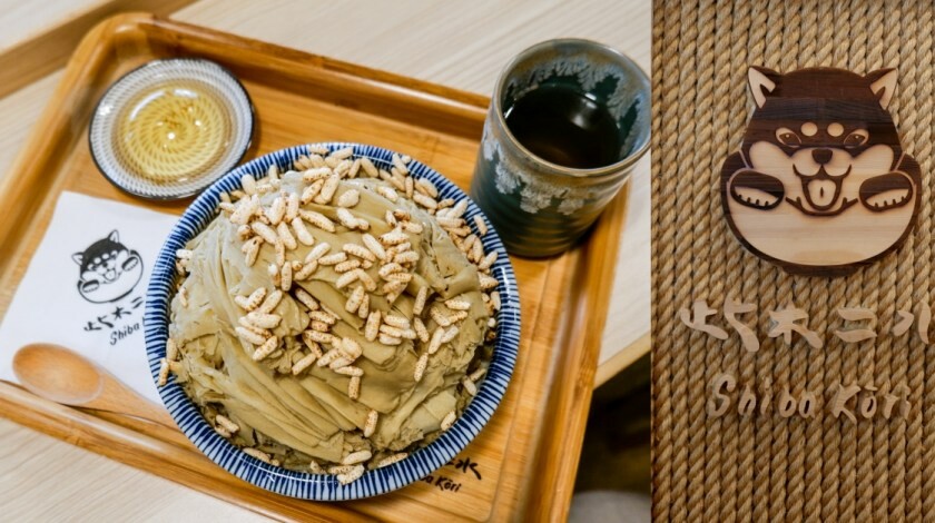 台中西屯｜咖啡  MEOW CAFE 喵屋專業咖啡 顏質兼具網美系貓咪咖啡館  貓控必訪!