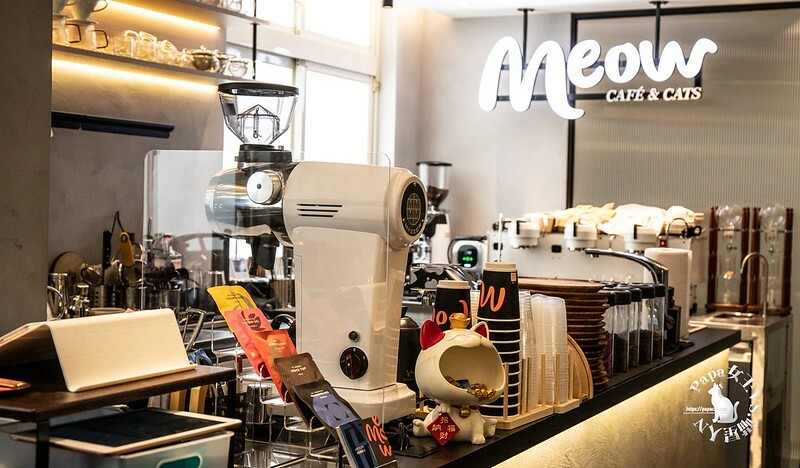 台中西屯｜咖啡  MEOW CAFE 喵屋專業咖啡 顏質兼具網美系貓咪咖啡館  貓控必訪!