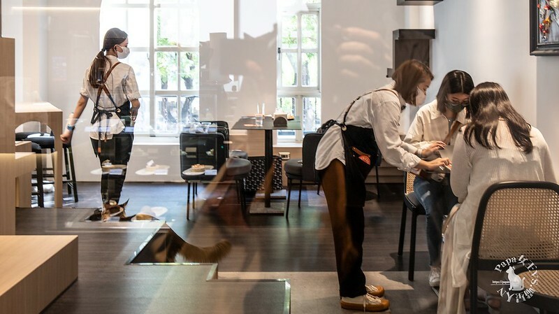 台中西屯｜咖啡  MEOW CAFE 喵屋專業咖啡 顏質兼具網美系貓咪咖啡館  貓控必訪!