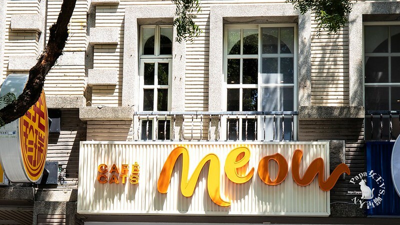 台中西屯｜咖啡  MEOW CAFE 喵屋專業咖啡 顏質兼具網美系貓咪咖啡館  貓控必訪!