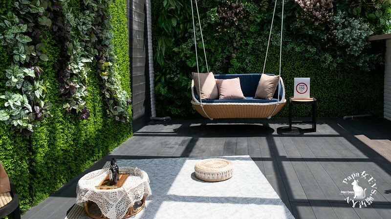 台中西屯｜咖啡  MEOW CAFE 喵屋專業咖啡 顏質兼具網美系貓咪咖啡館  貓控必訪!