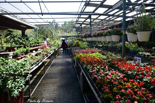 1201 2-遊新埔13.jpg