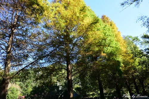 1201 2-遊新埔14.jpg