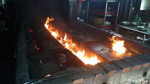 1201 6-金谷農場15.jpg