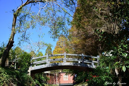 1201 6-金谷農場13.jpg