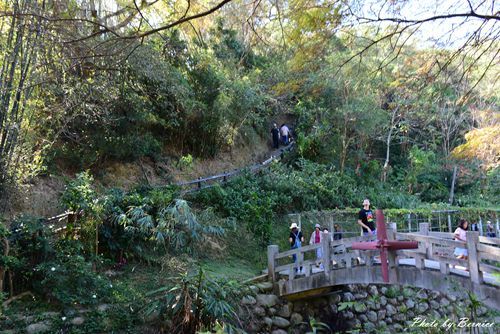 1201 6-金谷農場12.jpg