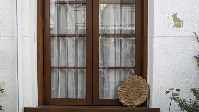 台中北屯｜甜點 愛莉兒甜點坊-老宅甜點開放內用，不能錯過《牽絲蕾絲餅 》好邪惡！