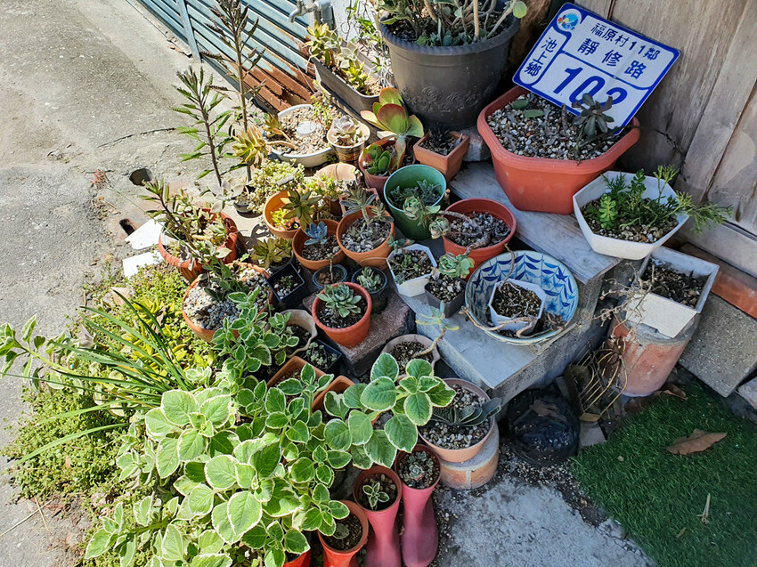 20220710_125346 20220710_125346