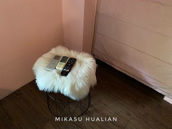 2022花蓮光復住宿 麵包樹舍B&B 網美民宿 住宿 早餐 國旅補助 麵包樹舍價格分享