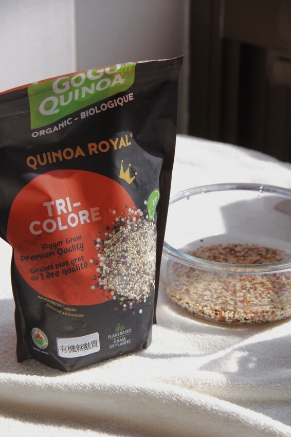 義大利麵新鮮食|加拿大GOGO Quinoa有機藜麥麵食、麥麩不耐症安心吃!