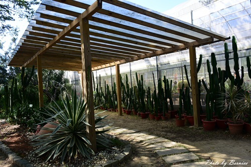 1201 2-遊新埔12.jpg