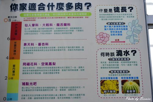 1201 4-福祥仙人掌03.jpg