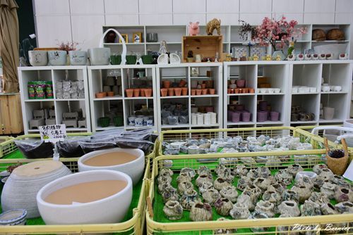 1201 4-福祥仙人掌02.jpg