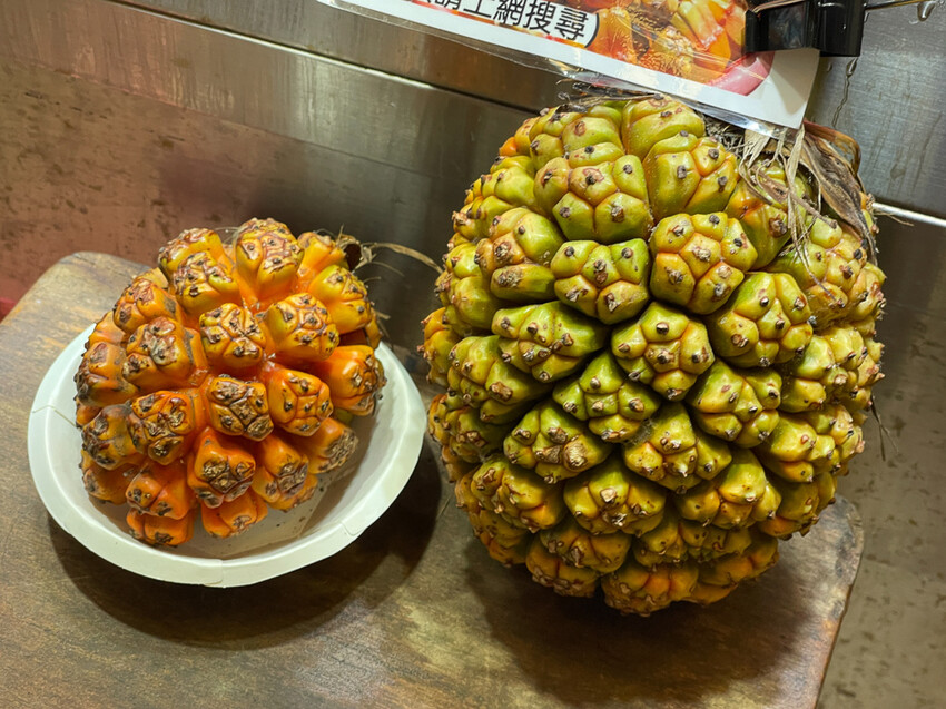 墾丁美食 – 亞發師海產 x 回訪N次的超高CP值海產餐廳 無敵海景漁港餐廳 一片5元的新鮮生魚片 平價熱炒高級