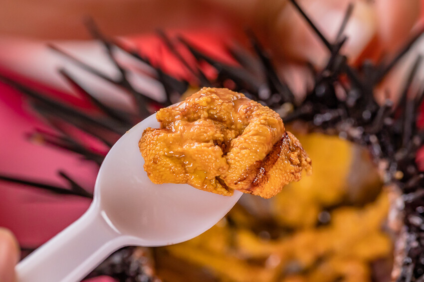 墾丁美食 – 亞發師海產 x 回訪N次的超高CP值海產餐廳 無敵海景漁港餐廳 一片5元的新鮮生魚片 平價熱炒高級