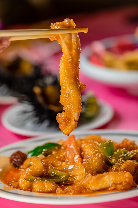 墾丁美食 – 亞發師海產 x 回訪N次的超高CP值海產餐廳 無敵海景漁港餐廳 一片5元的新鮮生魚片 平價熱炒高級