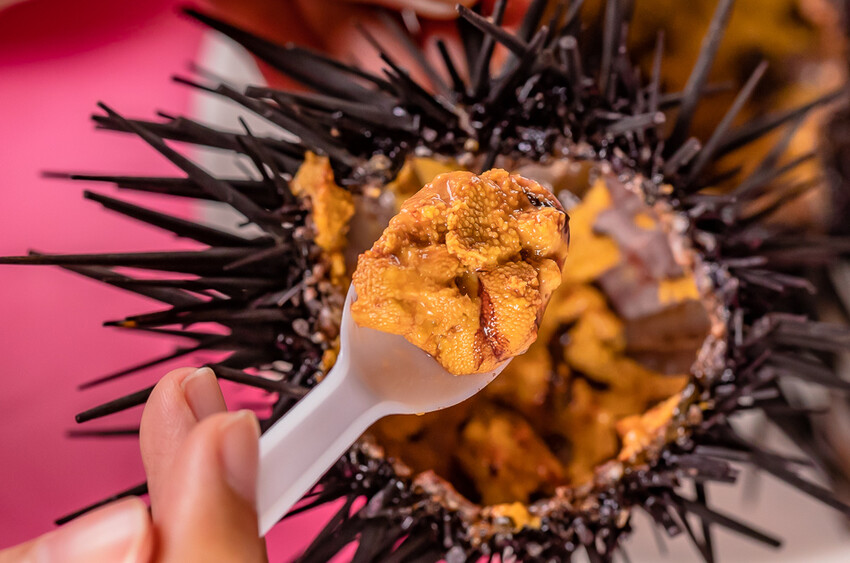 墾丁美食 – 亞發師海產 x 回訪N次的超高CP值海產餐廳 無敵海景漁港餐廳 一片5元的新鮮生魚片 平價熱炒高級