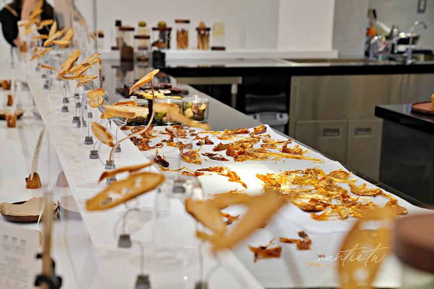 【台北】市政府站|The Seedin Lab,麵包根本藝術品來著,五感餐食體驗,不定期更換主題的美食藝廊