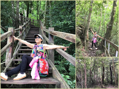 中壢社大週四趴趴走[馬武督探索森林園區] 綠光小學、楊梅步道、虹橋瀑布、馬武督瀑布