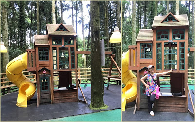 中壢社大週四趴趴走[馬武督探索森林園區] 綠光小學、楊梅步道、虹橋瀑布、馬武督瀑布