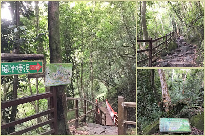 中壢社大週四趴趴走[馬武督探索森林園區] 綠光小學、楊梅步道、虹橋瀑布、馬武督瀑布