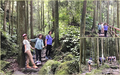 中壢社大週四趴趴走[馬武督探索森林園區] 綠光小學、楊梅步道、虹橋瀑布、馬武督瀑布