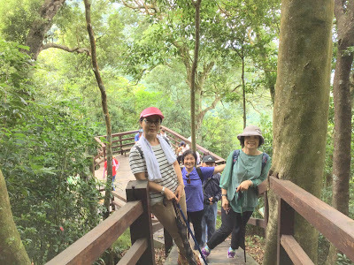 中壢社大週四趴趴走[馬武督探索森林園區] 綠光小學、楊梅步道、虹橋瀑布、馬武督瀑布