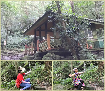 中壢社大週四趴趴走[馬武督探索森林園區] 綠光小學、楊梅步道、虹橋瀑布、馬武督瀑布