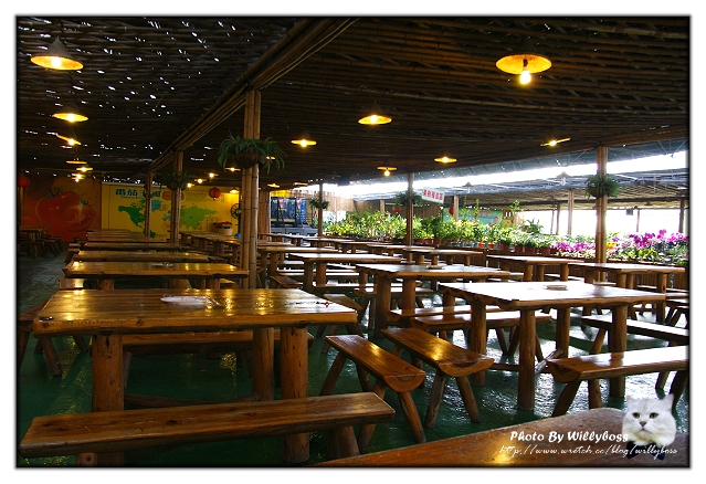 五月某日南庄新竹亂遊遊記(下)