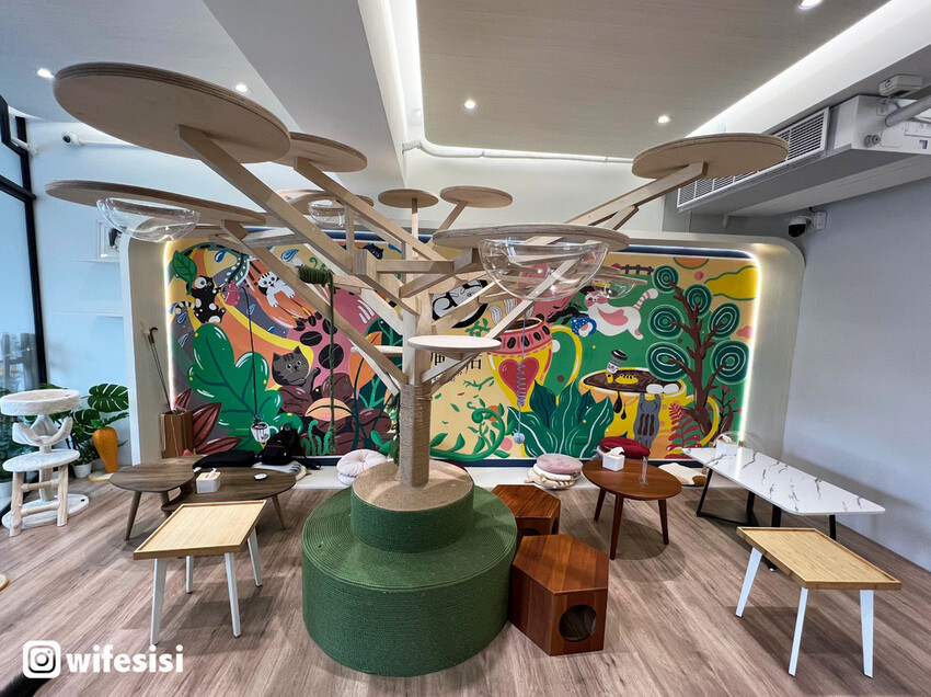 297809801_805310387310510_2166254187959007361_n (1)拷貝.jpg