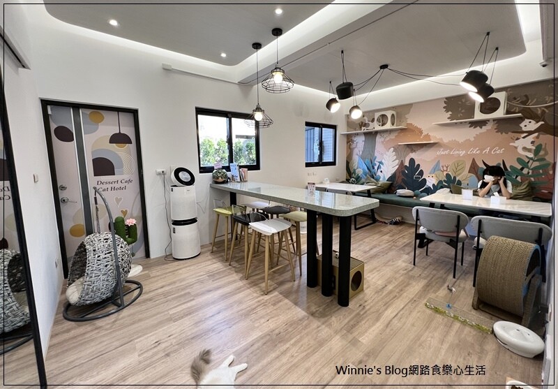 貓裡居(林口貓咪餐廳推薦+輕食+咖啡館+貓咪住宿) 16.jpg