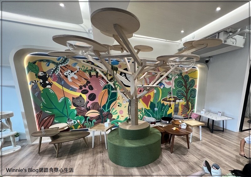 貓裡居(林口貓咪餐廳推薦+輕食+咖啡館+貓咪住宿) 14.jpg