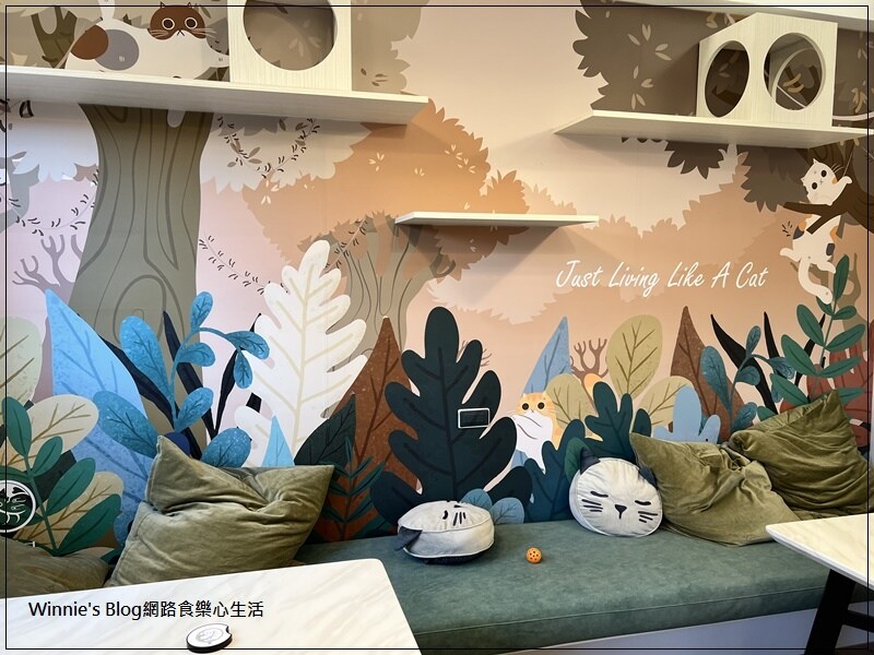 貓裡居(林口貓咪餐廳推薦+輕食+咖啡館+貓咪住宿) 17.jpg