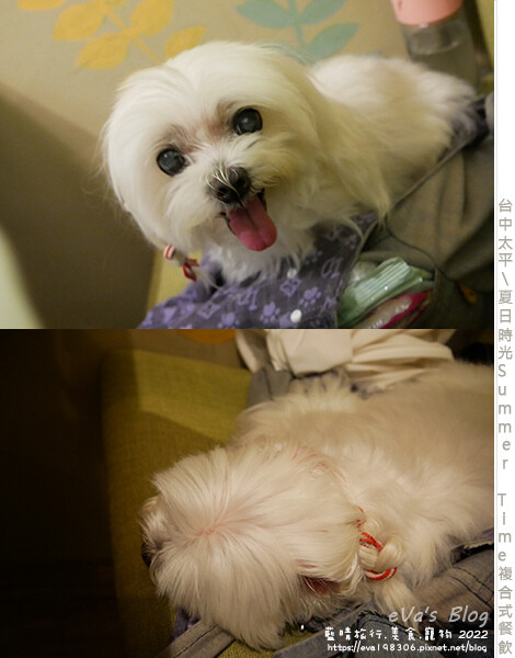 夏日時光複合式餐飲-29.jpg 夏日時光複合式餐飲-29.jpg