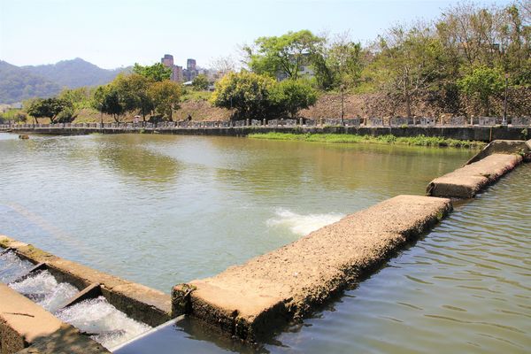 東安古橋：【新竹景點】關西牛欄河親水公園~東安古橋。攝影玩家秘境，觀覽歷史古蹟之美，輕遊漫步苦楝花樹下，河岸風光美不勝收