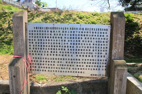 東安古橋：【新竹景點】關西牛欄河親水公園~東安古橋。攝影玩家秘境，觀覽歷史古蹟之美，輕遊漫步苦楝花樹下，河岸風光美不勝收