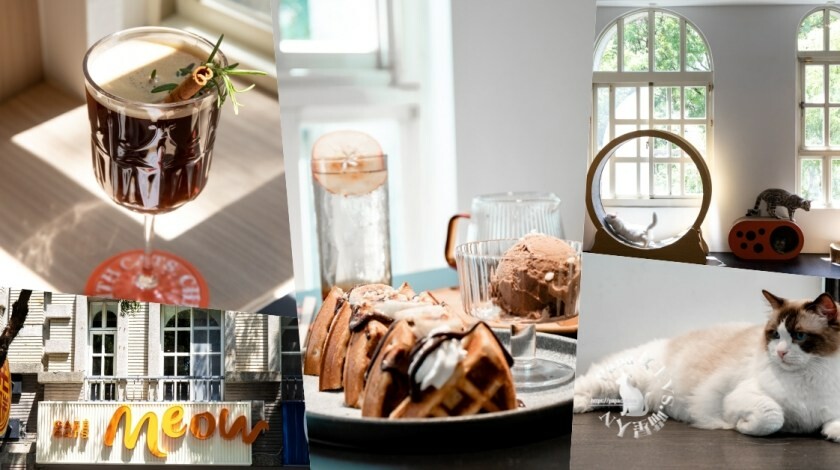 台中西區｜咖啡　Zulu café. Taiwan- 非洲風格咖啡館，帶有日系韻味